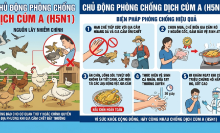 Chung tay phòng, chống cúm gia cầm A (H5N1) để bảo vệ sức khỏe cộng đồng